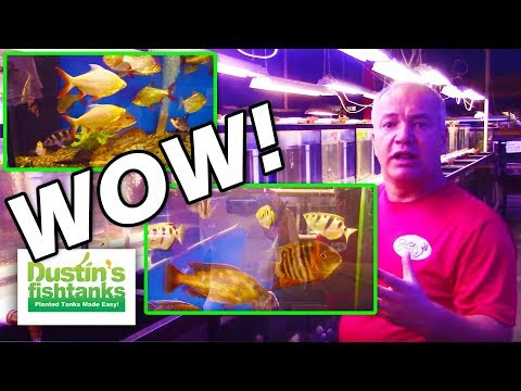 Foto Best Pet Supplies Fish Supplies Aquarium Stands For Sale