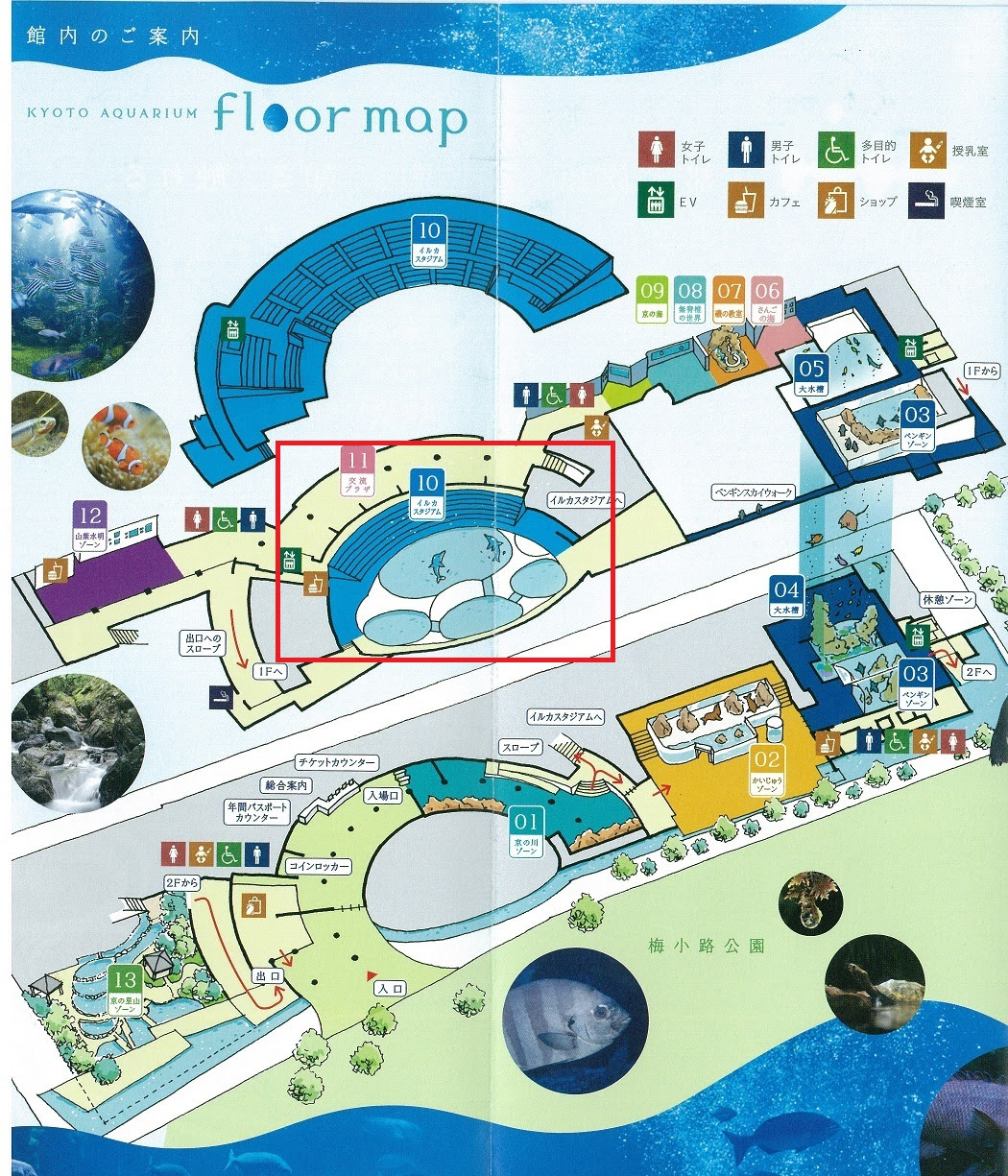 イルカショーの時間や見どころ 京都水族館チャンネル