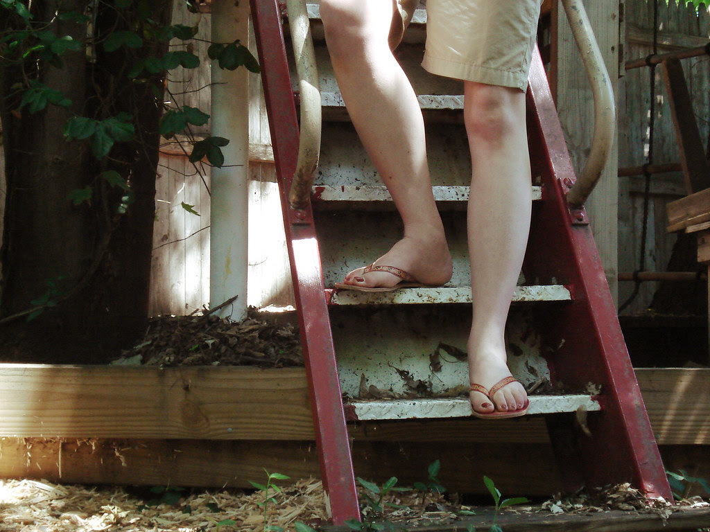 a step bench monday
