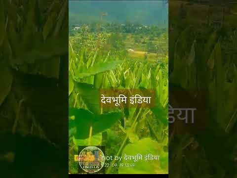 चित्र