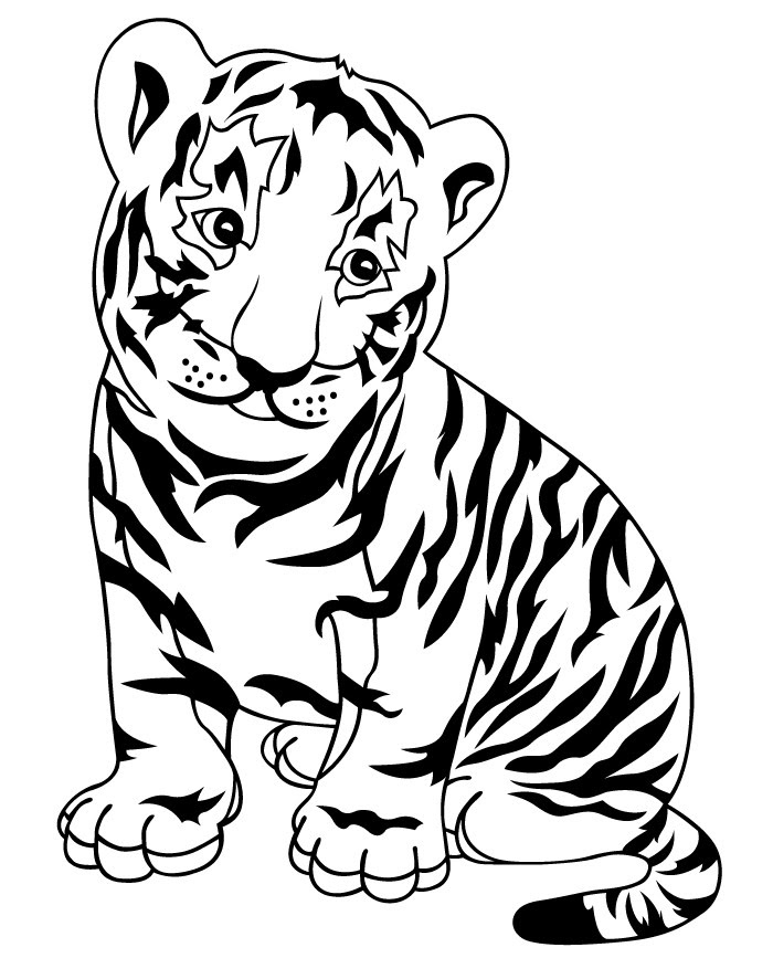 Baby White Tiger Drawing At Getdrawings Free Download
