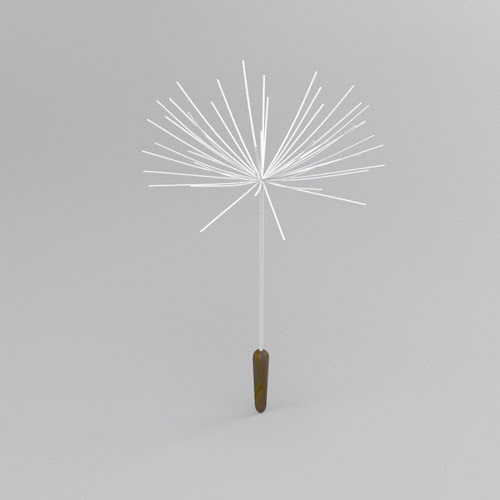 たんぽぽの綿毛の３ｄモデリング しげのくら