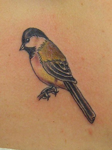  Sparrow Tattoo 