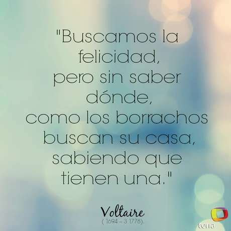 frases  reflexiones bonitas  inspiradoras de voltaire