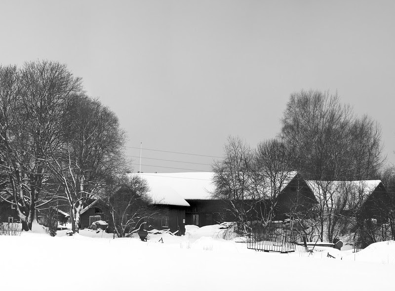 A Grey Day