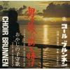CHOIR BRUNNEN - trip without the end