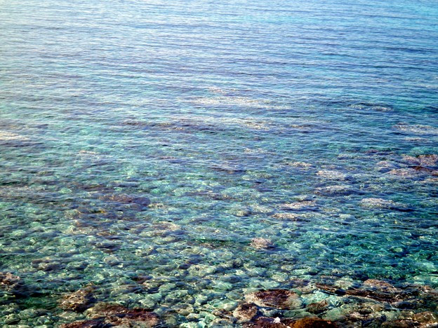 春の海 ひねもすのたりのたりかな 与謝蕪村 写真共有サイト フォト蔵