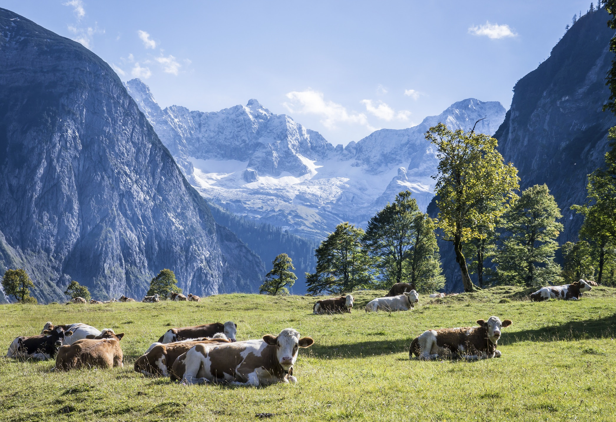 How you can find yourself a cheap family holiday to ...