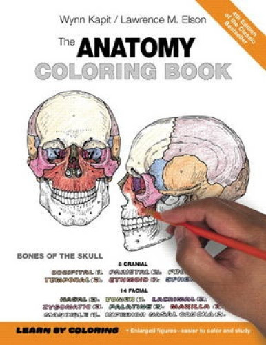 Download The Anatomy Coloring Book by Wynn Kapit. 9780321832016 | eBay