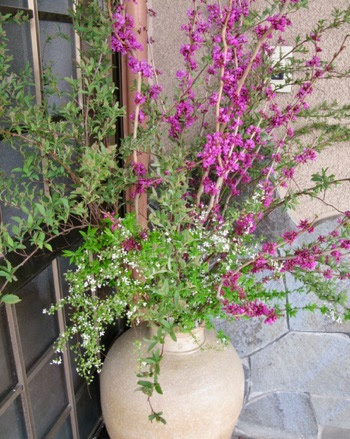 はな Ikebana And Flower