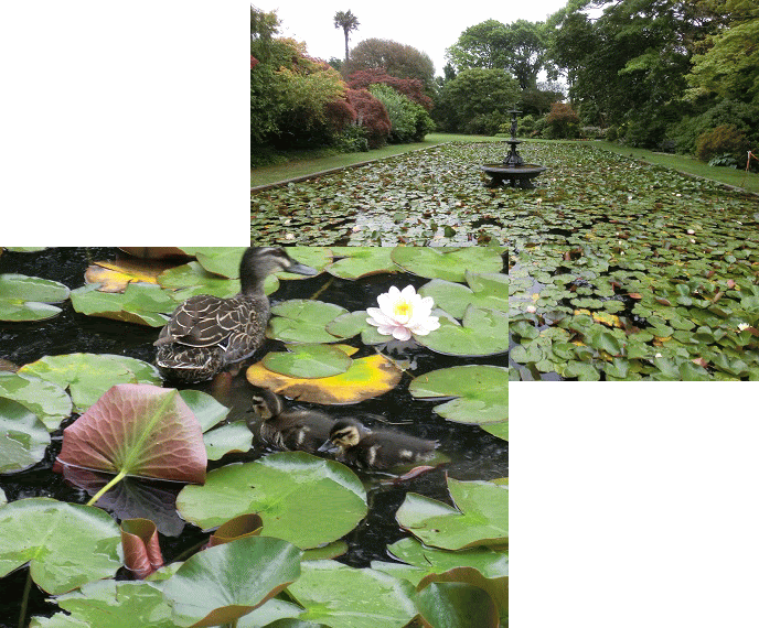 海外旅行 ニュージーランド ２０１３年度 煌きのニュージーランド８日間のスケジュール 日順 月日 都市名 時刻 交通機関 スケジュール 宿泊 １日目 １２月９日 月 成田 １８ ２５ ｎｚ０９０ プレミアムエコノミーでクライスチャーチへ 機中泊 ２日目