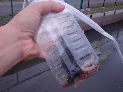 ドジョウ 罠 ペット ボトル