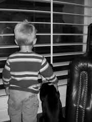 Bennett and Marlow - black and white
