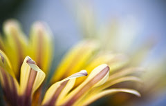 The Wind of Change...