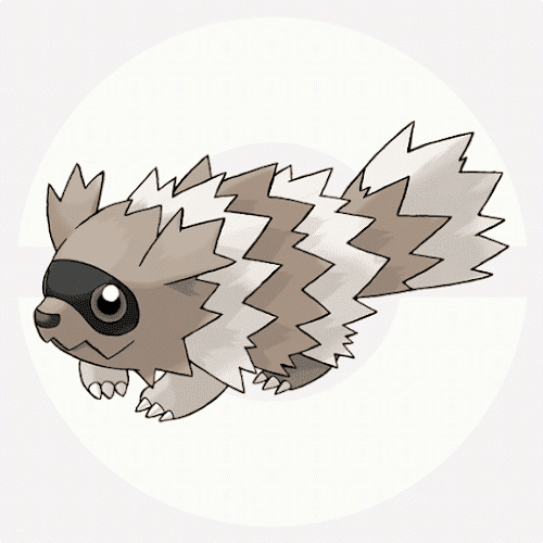 ポケモン ジグザグマのモチーフってタヌキなの アライグマ ポケモンアンテナサイト