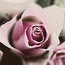 What a Beautiful Day! by Sue Clamp