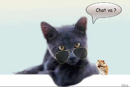 Chat Va