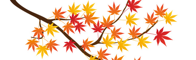 色とりどりの紅葉 もみじ のイラスト無料素材を集めました Ai Eps ベクター Png Design Vector