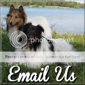 Email me