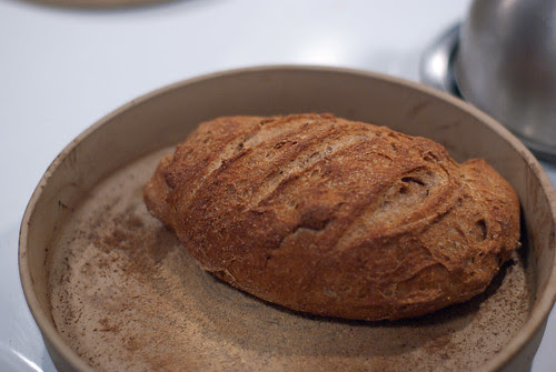 Bread