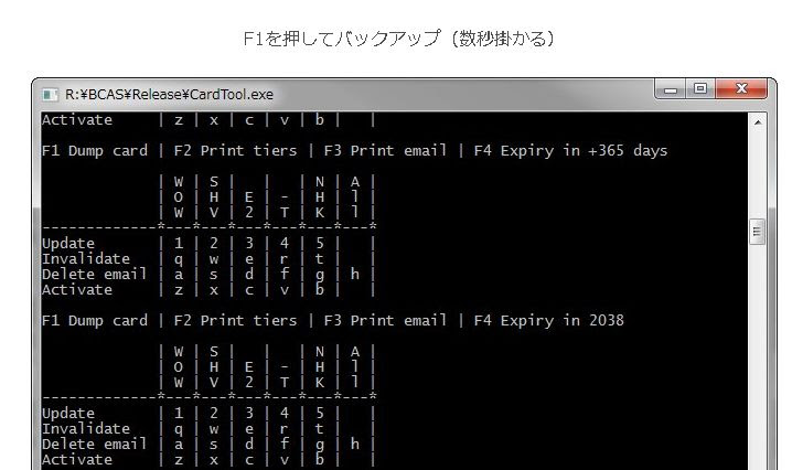 魚拓 改造b Casカード対策されたけど回避成功 やり方まとめ ため雑