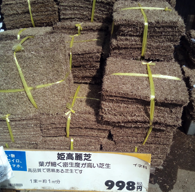 姫高麗芝の発売時期 新築住宅の芝生化計画