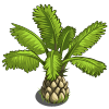 Short Palms