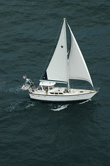 Niki Wiki Aerial