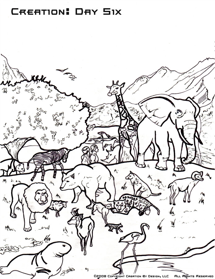 Download Gods Creation Drawing at GetDrawings | Free download