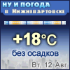 Ну и погода в Нижневартовске - Поминутный прогноз погоды