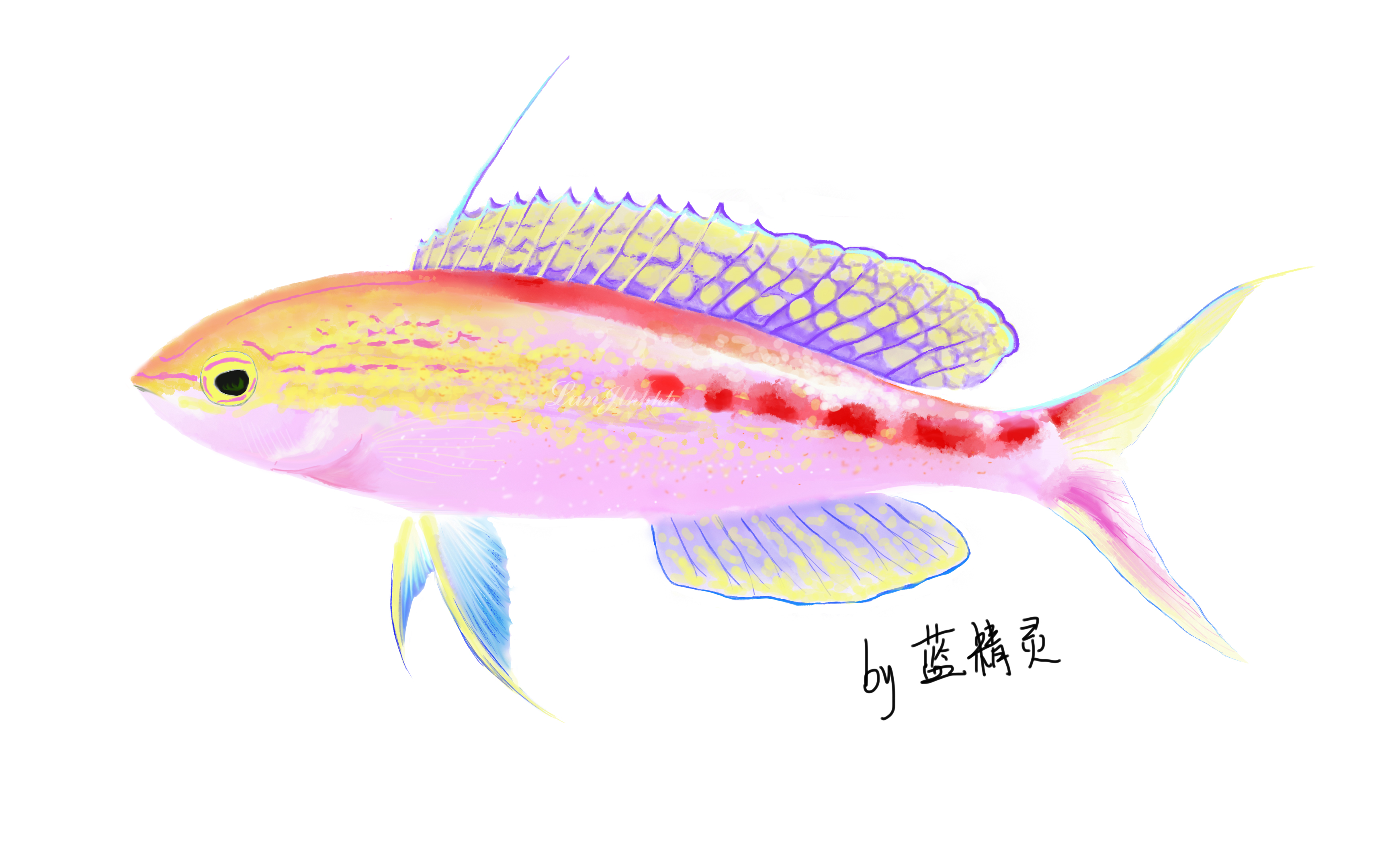 绘画 手把手教你怎么画鱼 一枚太平洋中部的宝石 哔哩哔哩 つロ干杯 Bilibili