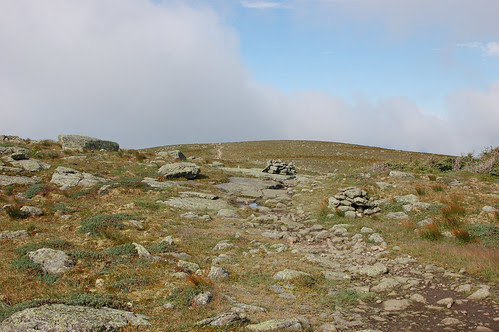 11trail into fog! copy.jpg