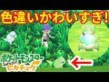 √99以上 色 違い かわいい ポケモン 189124-色違い かわいい ポケモン
