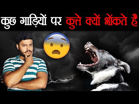 चित्र