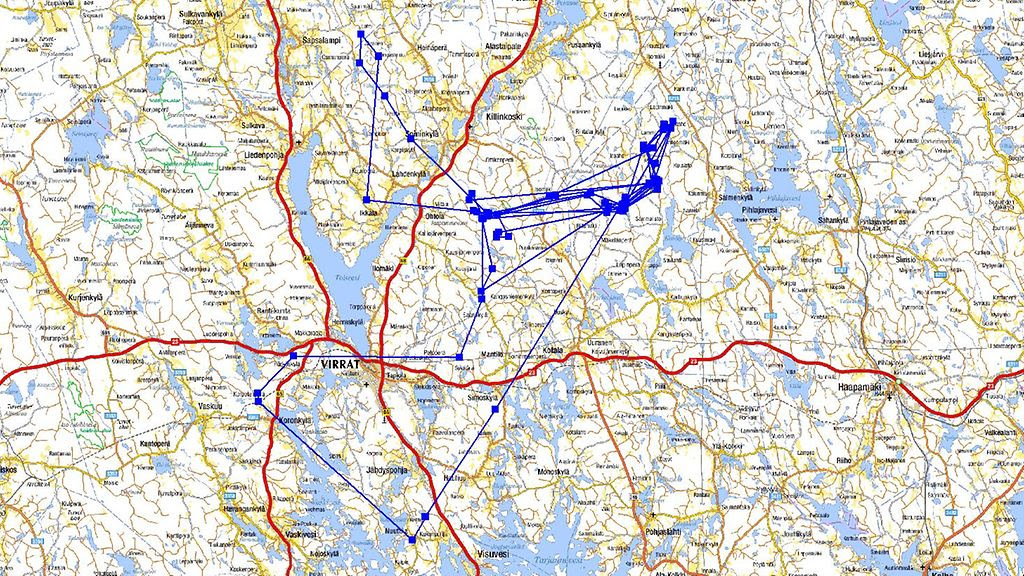 pantasusi kartta Hukka voi kulkea lähes 1000 kilometriä kuukaudessa – katso  pantasusi kartta