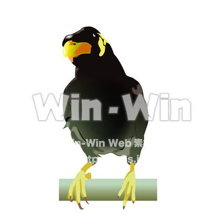 九官鳥 W の無料cg イラスト素材