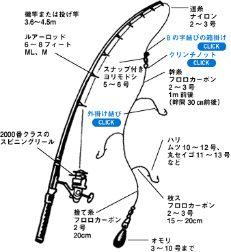 胴突き仕掛けで五目釣り 初心者でも分かるコツ 誘い方をご紹介 Rib Ertas