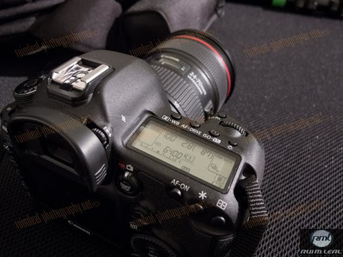 Hands On 5D MarkIII & 24-70 f2.8 USM L II