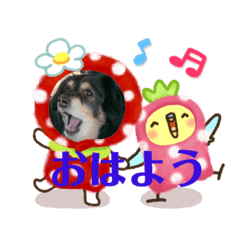 Lineスタンプ くす の完全一覧 全1000種類