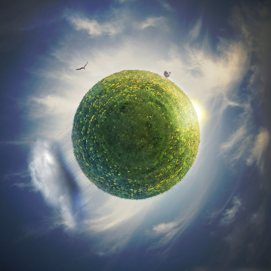 Earth Day 2011 Image