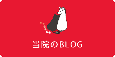 かわい動物病院 犬猫専門のペットクリニック 大阪府八尾市
