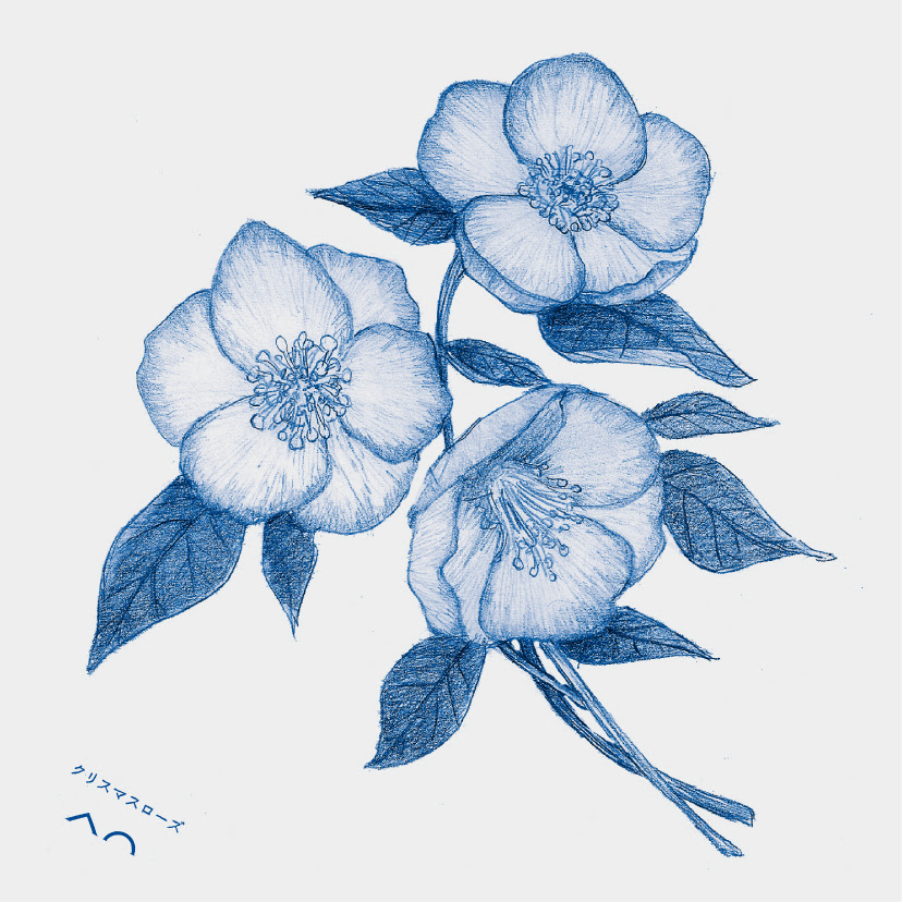 季節の花 Illust アブカワデザイン