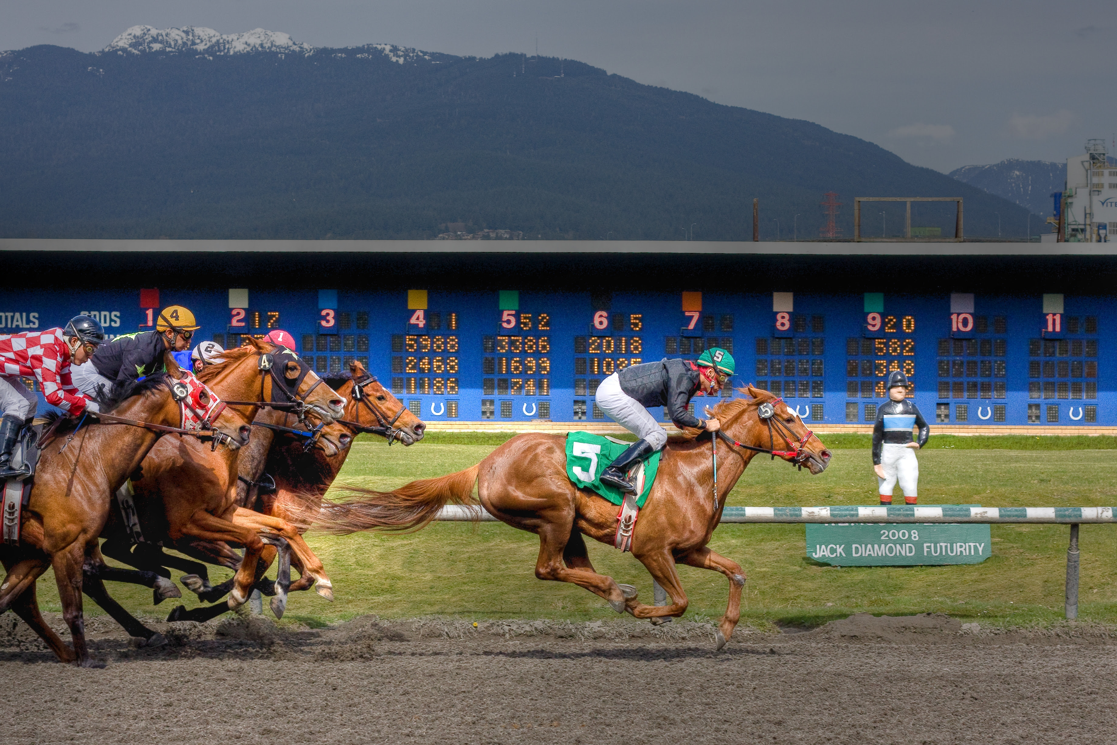 フリー画像 動物写真 哺乳類 馬 ウマ 競馬 騎手 人物写真 フリー素材 画像素材なら 無料 フリー写真素材のフリーフォト