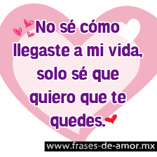 Frases De Amor Cortas Para Dedicar A Mi Novia