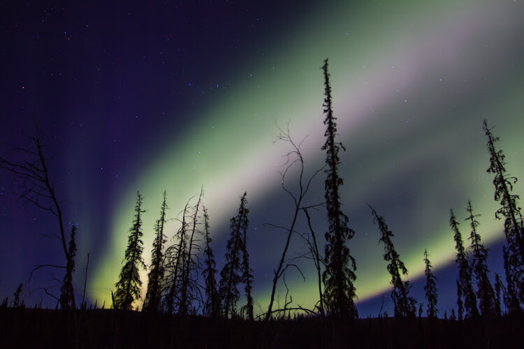 How to Photograph Northern Lights (The Aurora Borealis)