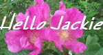 HelloJackie Etsy Shop