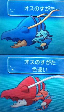 色違いに釘付け ブロスター Xy