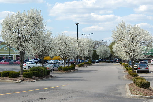 Franklin_InColorWhite