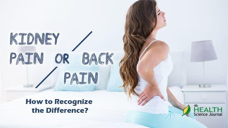 Back Pain or Kidney Pain? How to Recognize the Difference ...