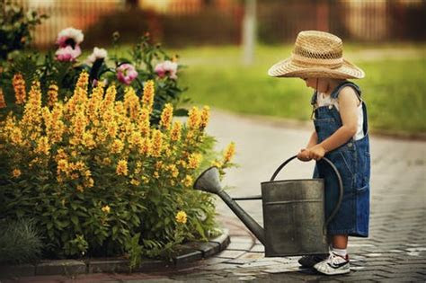 Diy network showcases peony planting partners, including daylily, foxglove, azalea and ornamental grasses. The best time to water your plants during a heatwave